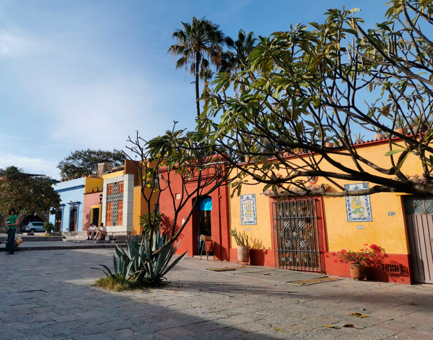 Exhibición de arte en Oaxaca